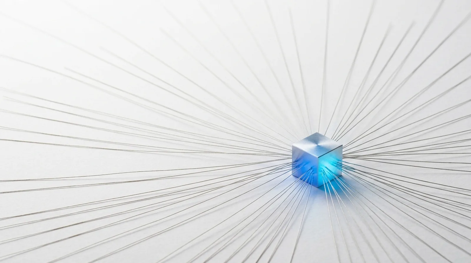 One small object lit from within at the centre of a white ground, with many fine filaments converging on it from beyond the frame.